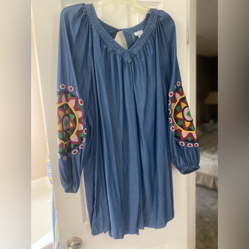 Women's Size 2XL Chambray dress